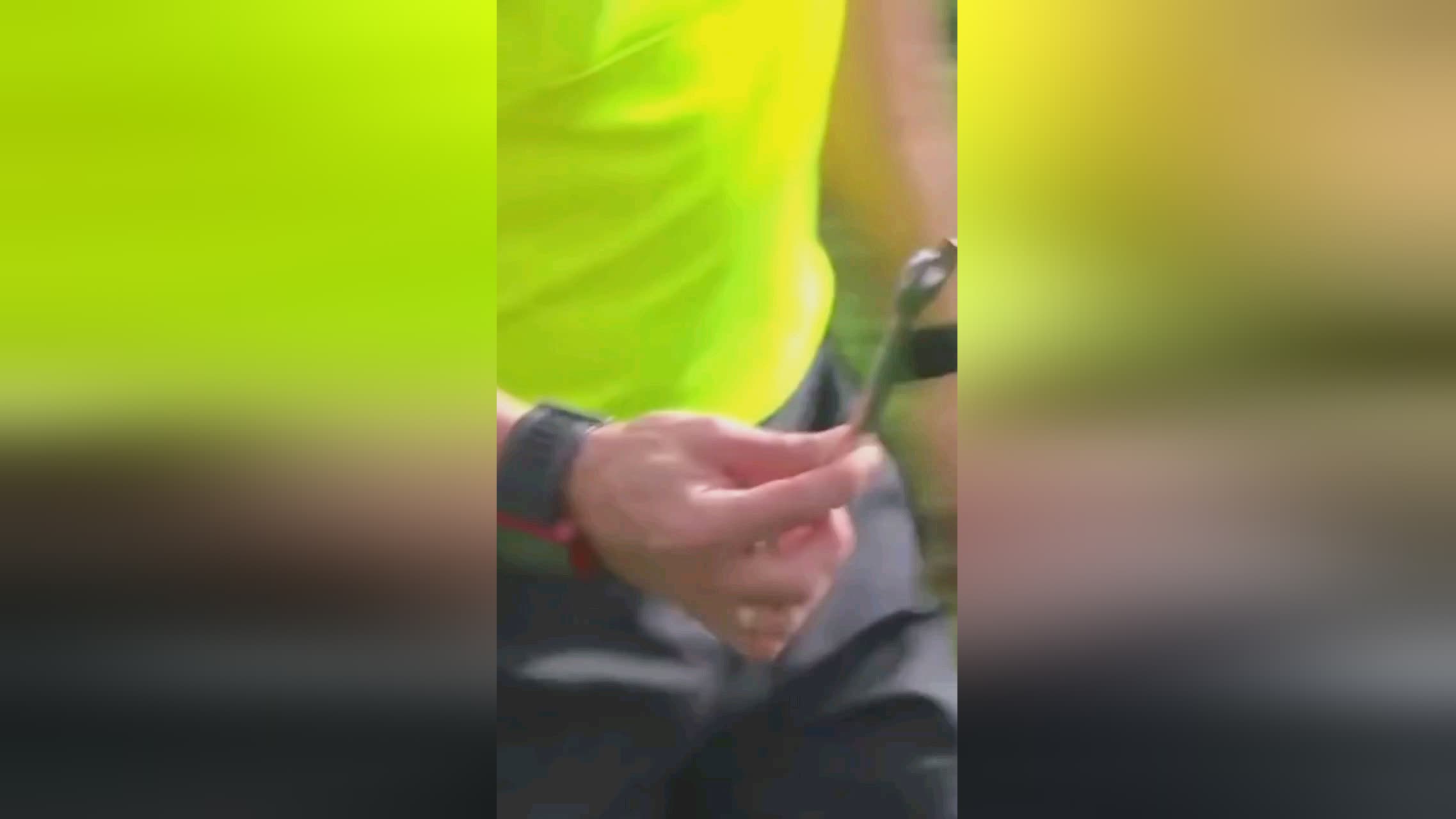 如支撑条或 如支撑条或